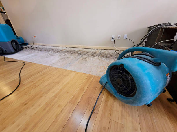 Professional Burst Pipe Water Damage technician working in Watson, AL